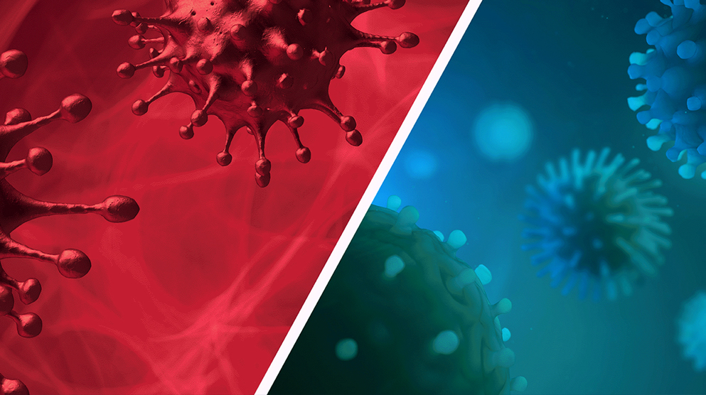 Molecular Test for Simultaneous Detection of 3 Viruses: A and B of Influenza and SARS-CoV-2
